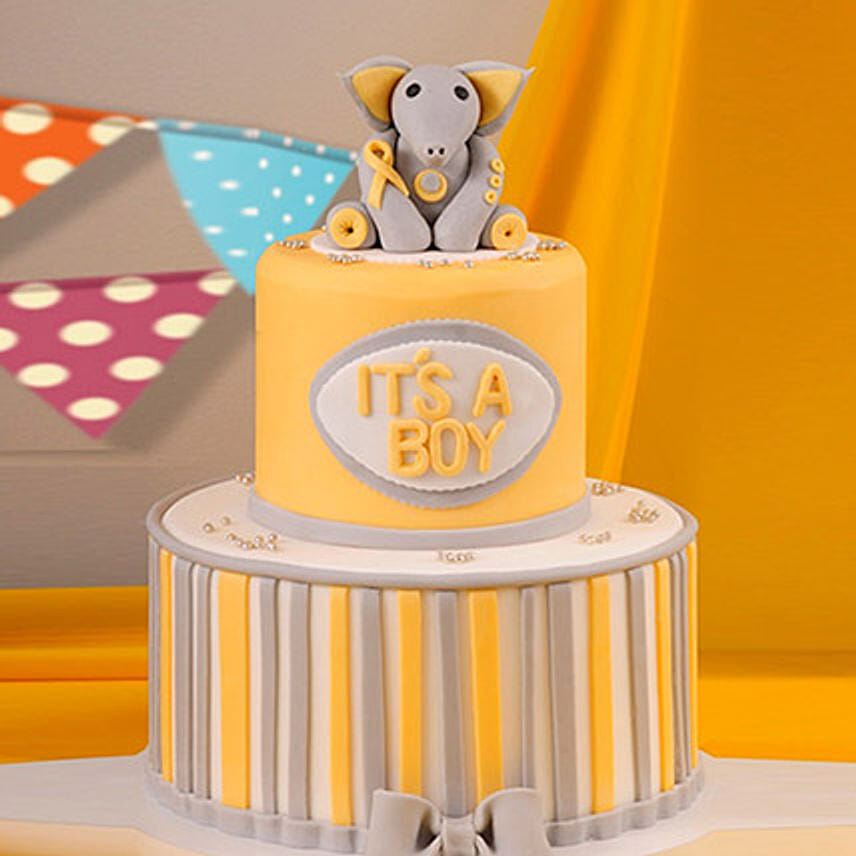 Baby Shower Elephant Theme Cake 5 Kg