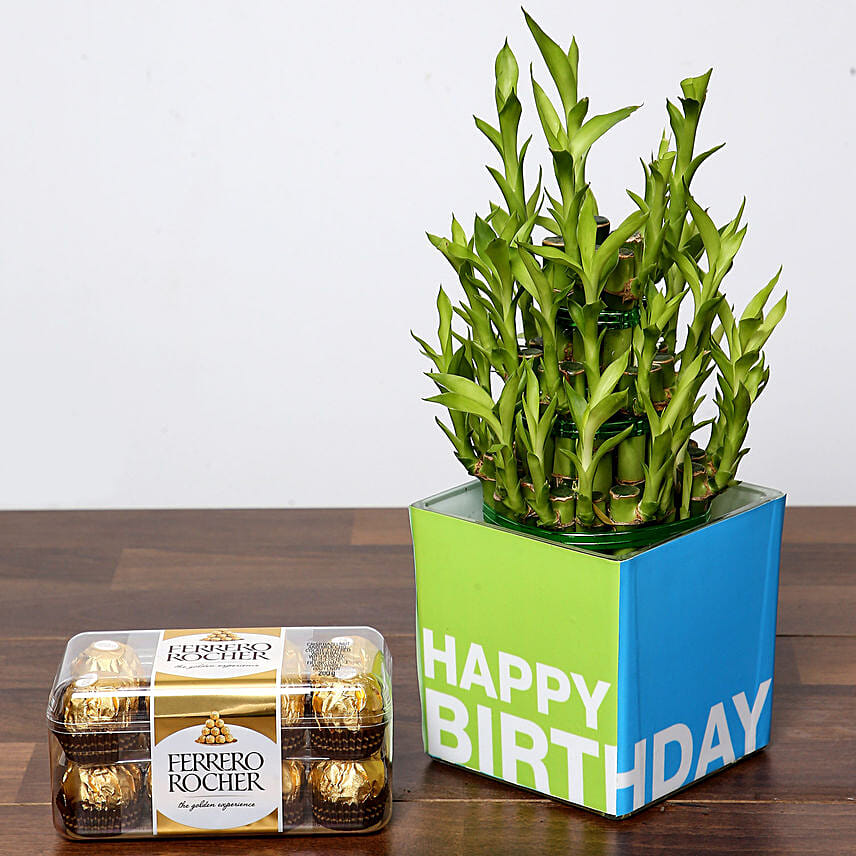 3 Layer Bamboo Plant and Chocolates For Birthday: 