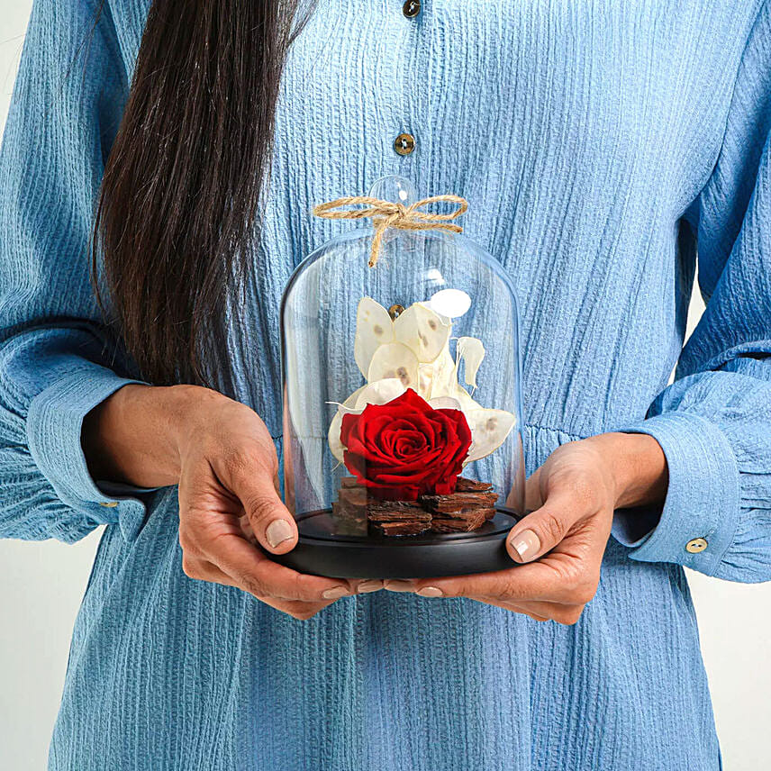 Forever Red Rose In Glass Dome: Valentines Gifts Delivery in Qatar