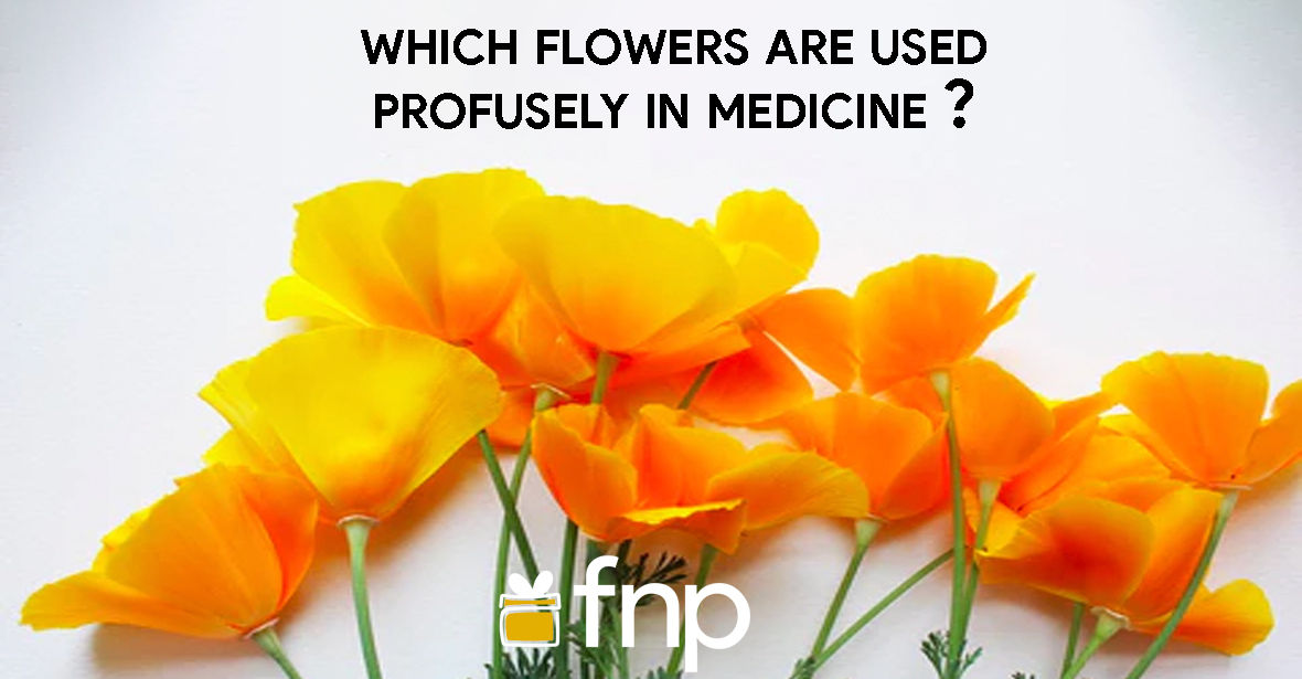 Which Flowers Are Used Profusely In Medicine? FNP