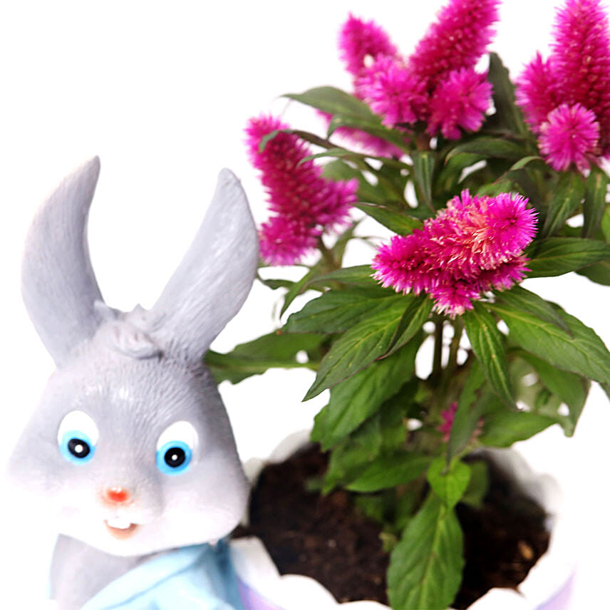 Online Celosia Plant in Rabbit Cart Pot Gift Delivery in UAE - FNP