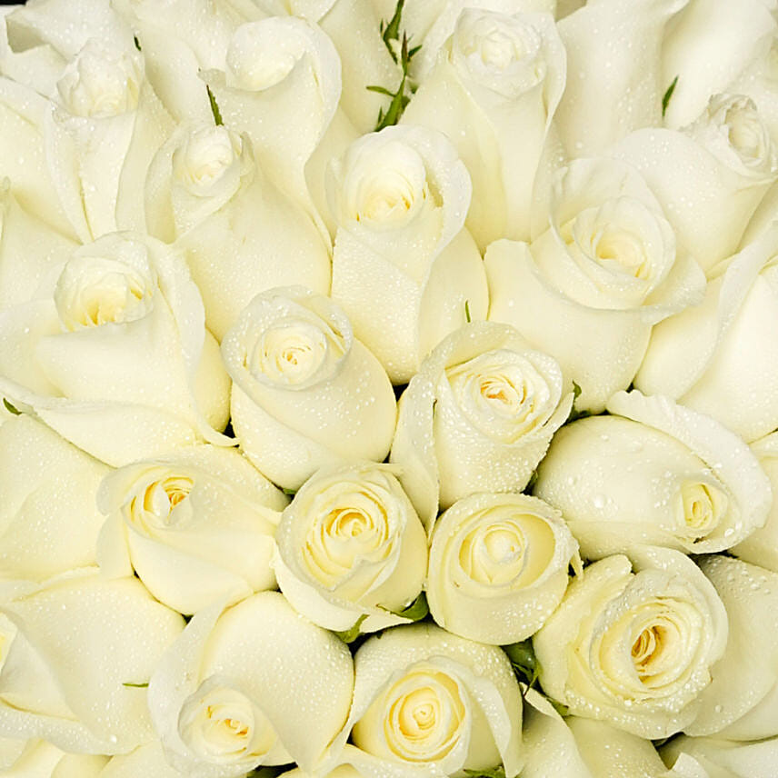 Online 100 White Roses Beauty Bouquet Gift Delivery in UAE - FNP