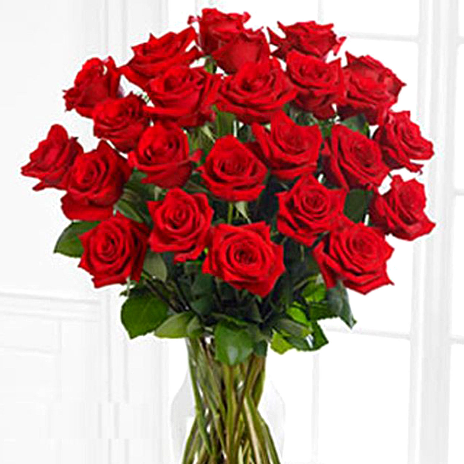 Online 50 Red Roses Bunch Gift Delivery in Pakistan FNP