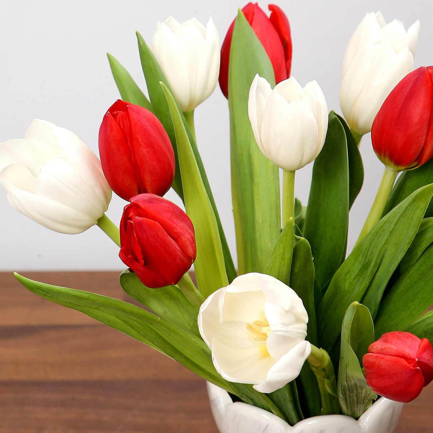 Online Red and White Tulips Gift Delivery in UAE - FNP