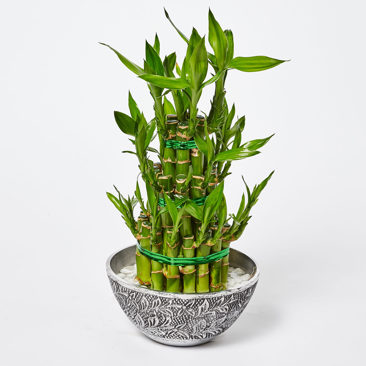 Online 3 Layer Lucky Bamboo in Designer Pot Gift Delivery in UAE